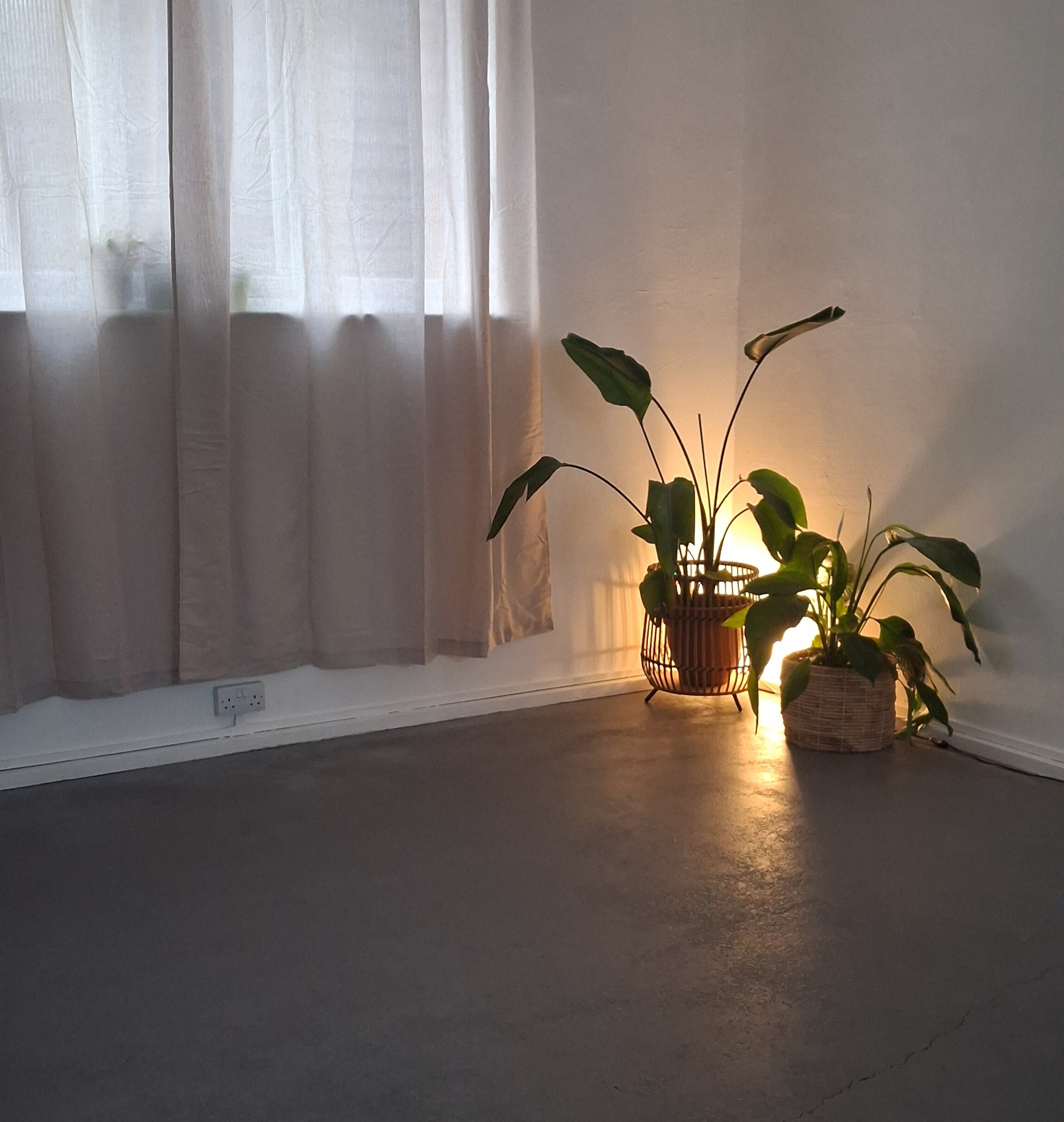 Softly lit corner inside the Menopause Wellbeing Studio