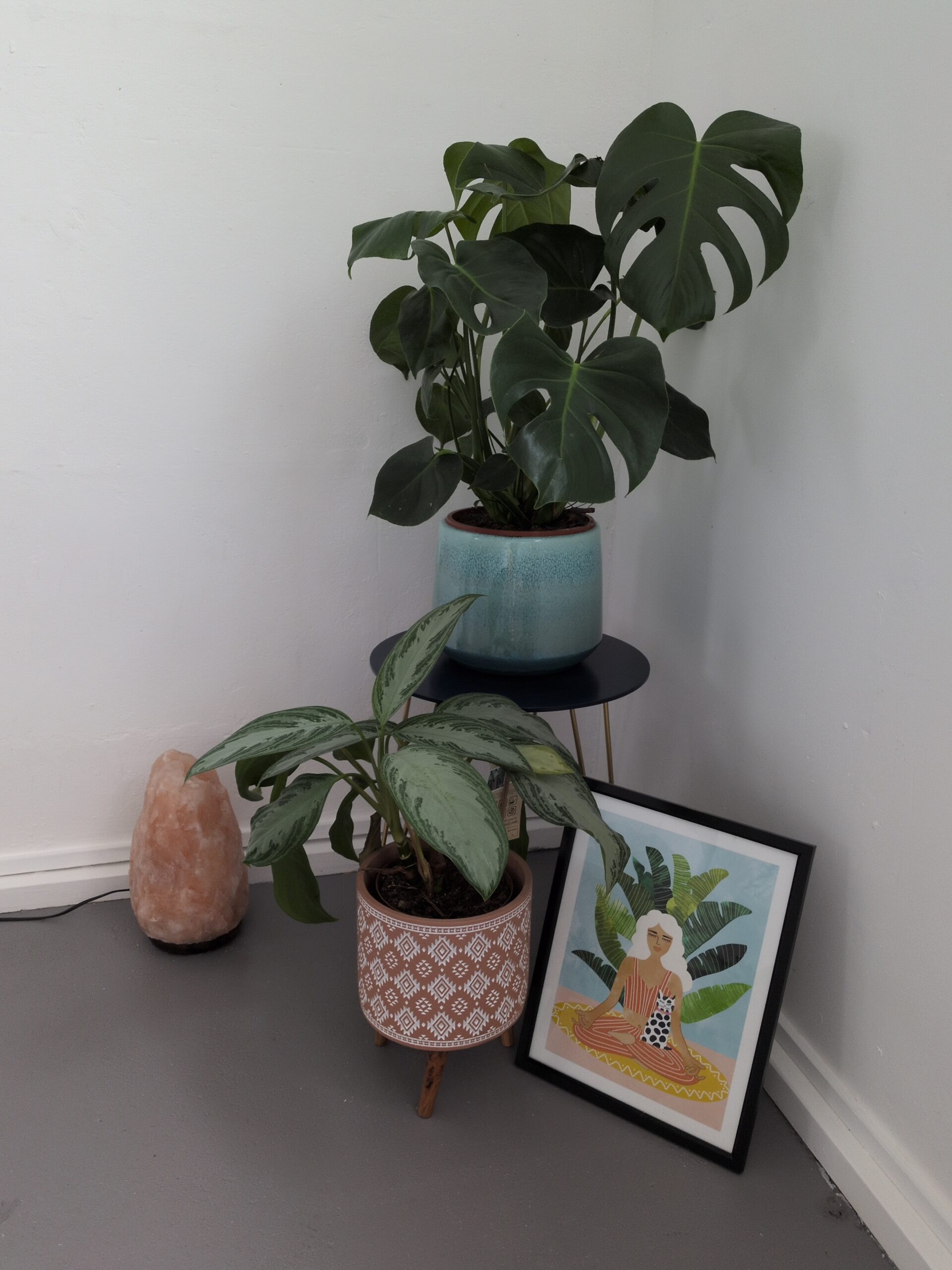 Wellbeing corner inside the Studio